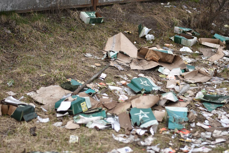 Avoid hidden rubbish removal fees in Haringey what to know